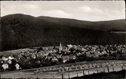 Ak Freienohl Meschede im Sauerland, Gesamtansicht