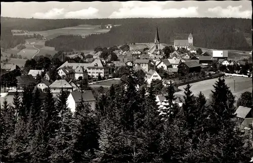 Ak Bischofsgrün im Fichtelgebirge, Gesamtansicht, Wald