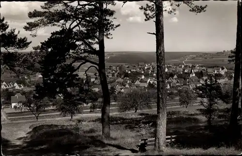 Ak Stammheim Calw im Nordschwarzwald, Gesamtansicht, Wald