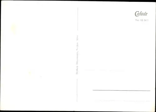 Ak Verden an der Aller, Fliegeraufnahme vom Ort