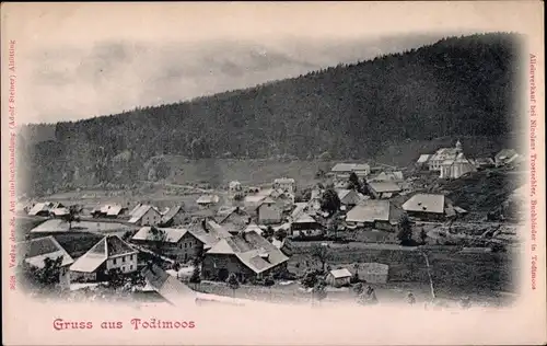 Ak Todtmoos im Schwarzwald, Blick auf den Ort