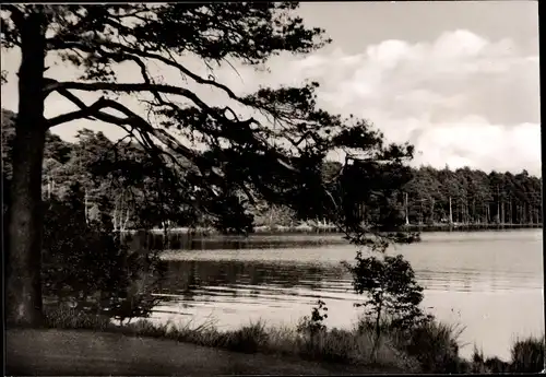 Ak Rotenburg an der Wümme, Großer Bullensee