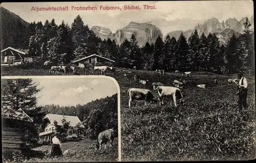 Ak Fulpmes in Tirol, Alpenwirtschaft Frohneben, Rinder