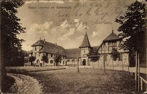 Ak Ihringen im Schwarzwald Baden, Gestüt Lilienhof am Kaiserstuhl