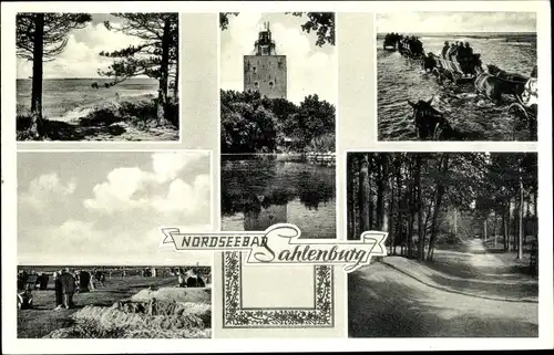 Ak Sahlenburg Cuxhaven in Niedersachsen, Wattwagen nach Neuwerk, Menkestieg im Wernerwald, Strand