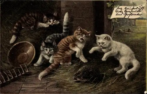 Litho Junge Katzen spielen mit einem Igel