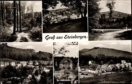 Ak Steinbergen Rinteln an der Weser, Teilansicht, Waldpartie