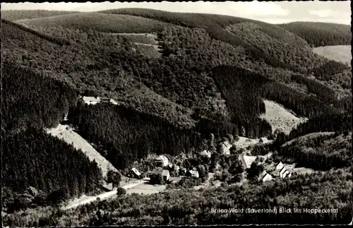 Ak Brilon im Sauerland, Bahnhofsgaststätte, Wald, Luftbild