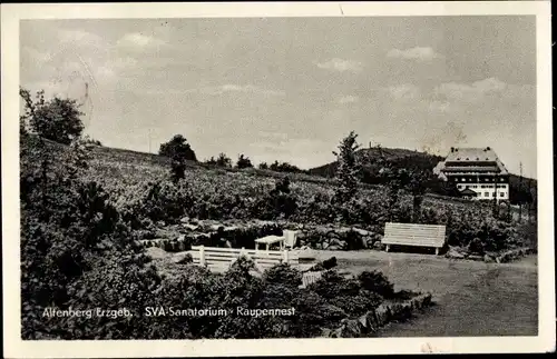 Ak Altenberg im Erzgebirge, SVA Sanatorium Raupennest