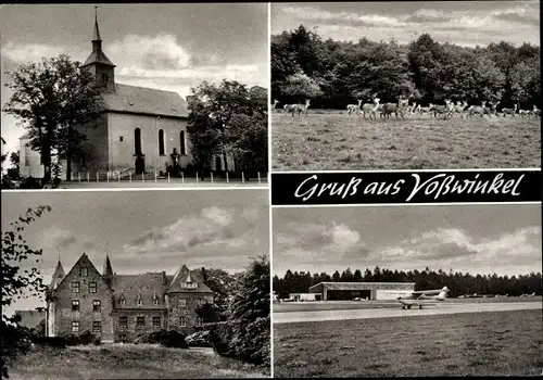 Ak Voßwinkel Arnsberg im Sauerland, Schloss, Kirche, Hirsche, Flugzeug