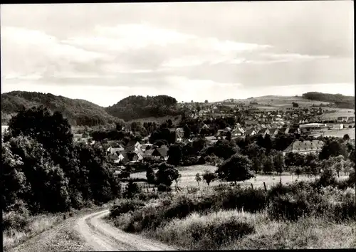 Ak Alme Brilon im Sauerland, Gesamtansicht
