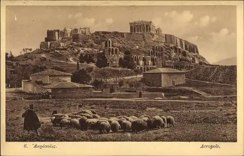 Ak Athen Griechenland, Akropolis, Schäfer mit Schafherde