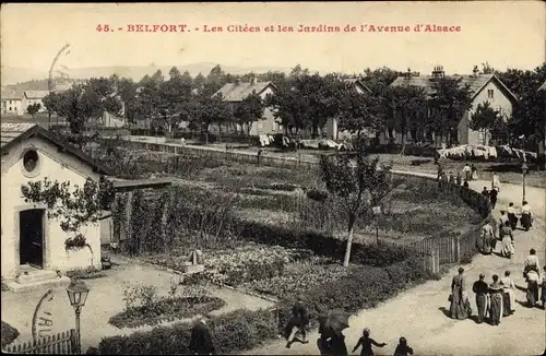 Ak Belfort Beffert Beffort Territoire de Belfort, Les Cites et les Jardins de l'Avenue d'Alsace