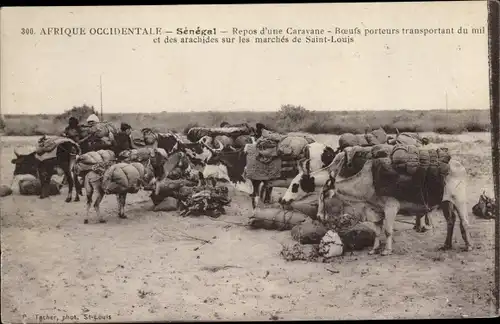 Ak Senegal, Repos d'une Caravane