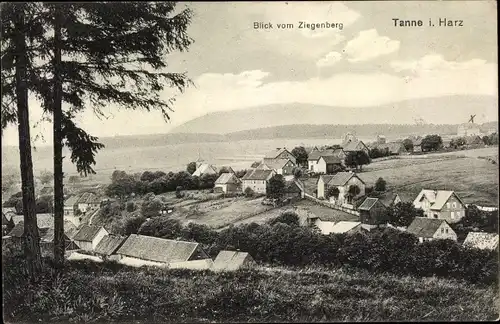 Ak Tanne Oberharz am Brocken, Ort vom Ziegenberg gesehen