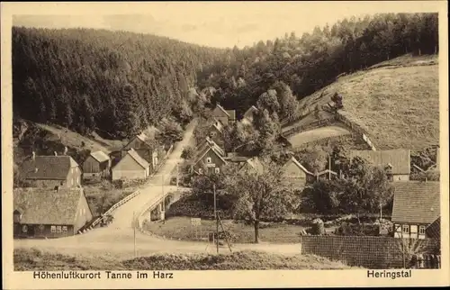 Ak Tanne Oberharz am Brocken, Heringstal, Dorfpartie