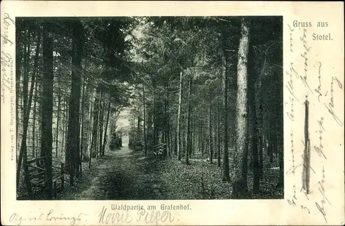 Ak Stotel Loxstedt in Niedersachsen, Waldpartie am Grafenhof