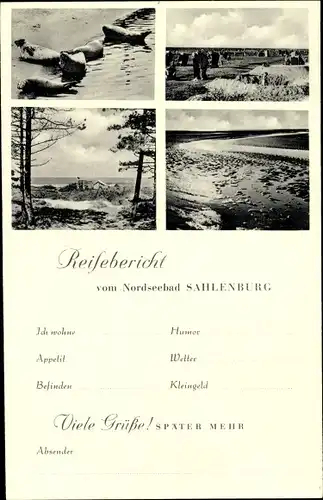 Ak Sahlenburg Cuxhaven in Niedersachsen, Watt, Robben