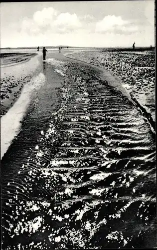 Ak Sahlenburg Cuxhaven in Niedersachsen, Wattenmeer