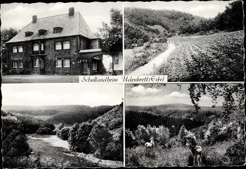 Ak Udenbreth Hellenthal in der Eifel, Ortsansichten, Gasthaus, Wald, Hirsch, Reh