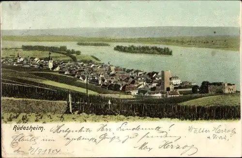 Ak Rüdesheim am Rhein, Gesamtansicht