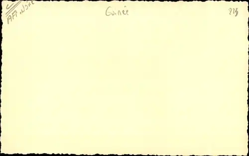 Foto Guinea, Einheimische, Junge im Wasser