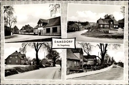 Ak Damsdorf in Schleswig Holstein, Straßenpartie, Häuser