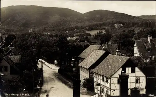 Ak Ilsenburg am Nordharz, Teilansicht, Straßenpartie