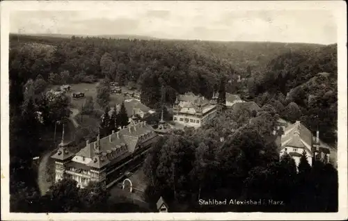 Foto Ak Alexisbad Harzgerode am Harz, Teilansicht