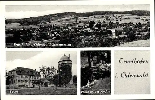 Ak Ernsthofen im Odenwald Modautal, Totale, Schloss, Modaupartie