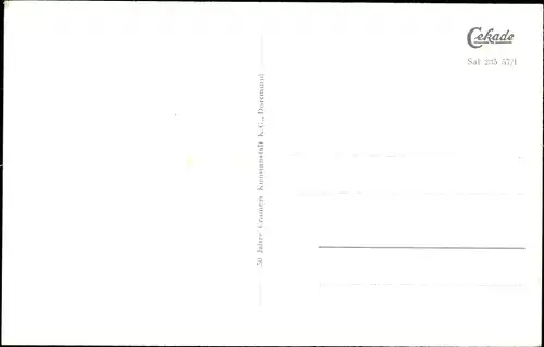 Ak Bad Salzuflen in Lippe, Leuchtfontäne