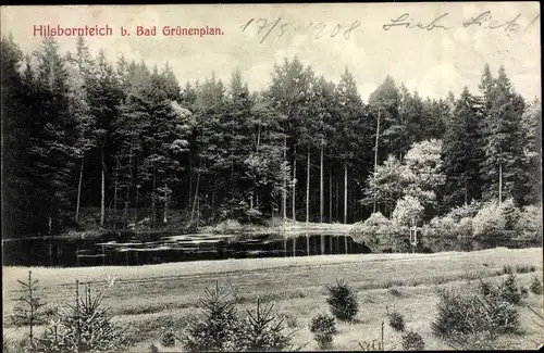 Ak Grünenplan Delligsen Niedersachsen, Hilsbornteich, Wald
