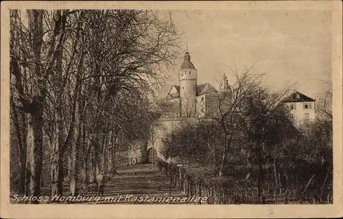 Ak Nümbrecht im Oberbergischen Kreis, Schloss Homburg, Kastanienallee