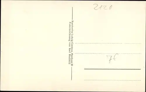Künstler Ak Blossfeld, Karl, Lüneburg in Niedersachsen, Zollstraße