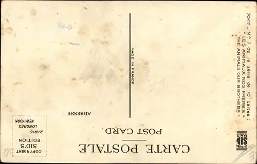Künstler Ak Mich, He won't catch me, for he seems to be out of breath, Hase flieht vor Dampflok