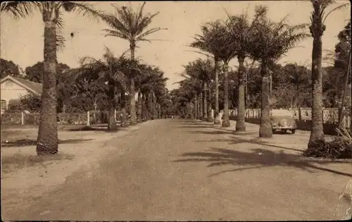 Ak Abidjan Elfenbeinküste, Avenue de la Residence