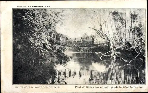 Ak Elfenbeinküste, Pont de lianes sur un marigot de la Zone forestiere