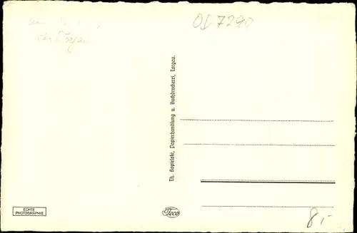 Ak Torgau an der Elbe, Strandbad am Großen Teich