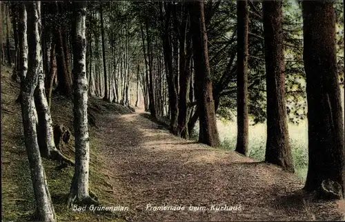 Ak Grünenplan Delligsen Niedersachsen, Promenade beim Kurhaus, Wald