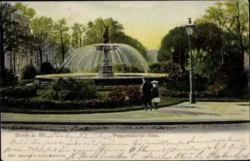 Ak Bonn am Rhein, Poppelsdorfer Allee