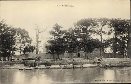 Ak Dagana Senegal, partie au fleuve, vue des arbres et d'un maison