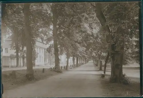 Foto Putbus auf der Insel Rügen, Alleestraße