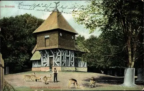 Ak Hansestadt Bremen, Wildgehege im Bürgerpark