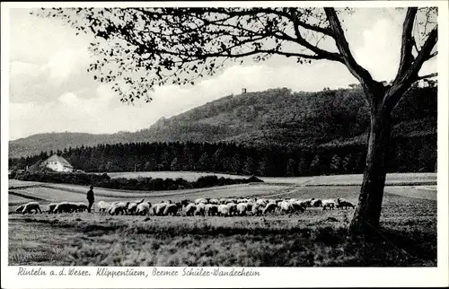 Ak Rinteln an der Weser, Bremer Schülerwanderheim, Klippenturm, Schafherde