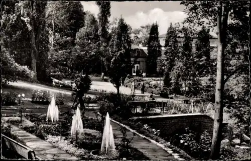 Ak Bad Salzuflen in Lippe, Rosenhang oberhalb der Wandelhalle