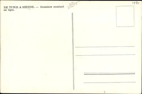 Ak De Tunis a Sienne, Goumiers montant en ligne