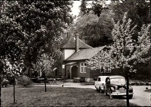 Ak Vielbrunn Michelstadt im Odenwald, Hainhaus, Autokennzeichen ERB P 237