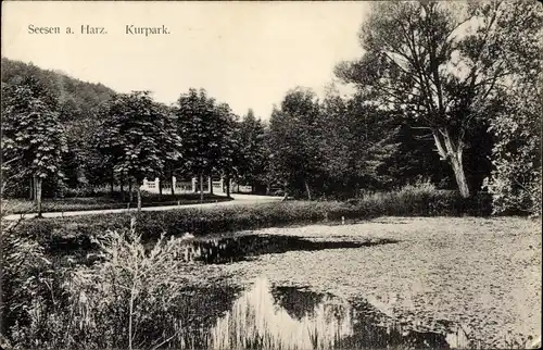 Ak Seesen am Harz, Kurpark