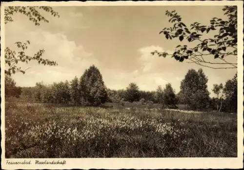 Ak Františkovy Lázně Franzensbad Region Karlsbad, Moorlandschaft