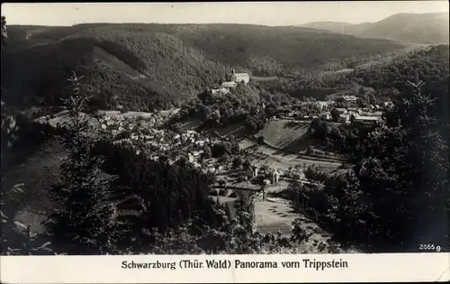 Ak Schwarzburg in Thüringen, Panorama vom Trippstein